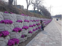 옥천군의 관문 이백리, 도로변 옹벽 꽃계단으로 새 단장 기사 이미지